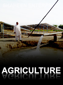 Shaheen Aggriculture Solar for Irrigation