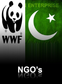 Shaheen Solar NGO and WWF Projects