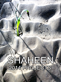 Shaheen Solar Projects 2014